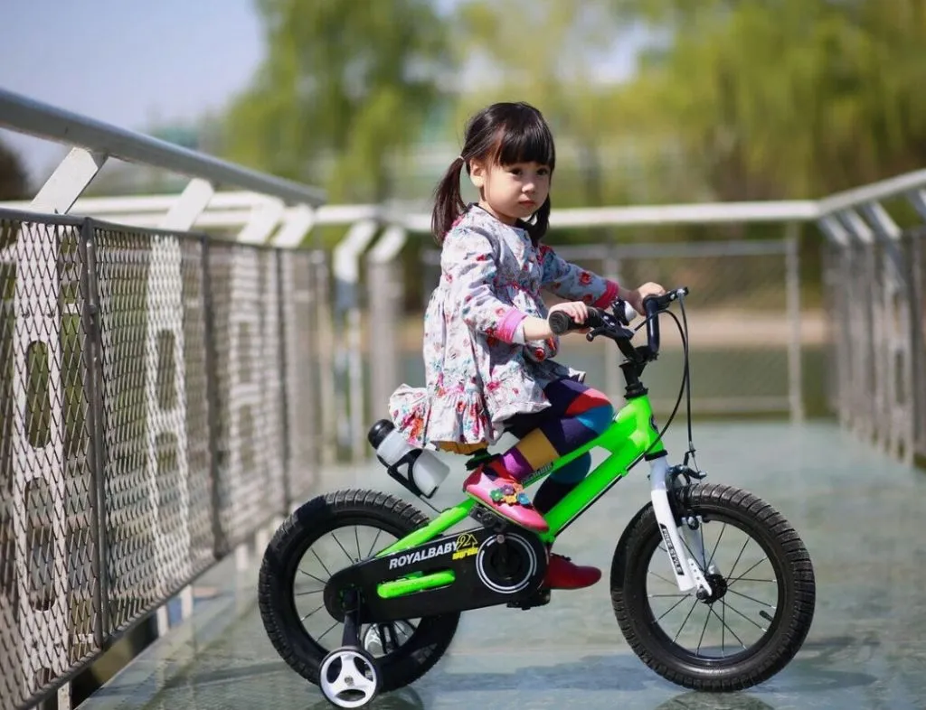 Детский велосипед Royal Baby Freestyle Alloy 18